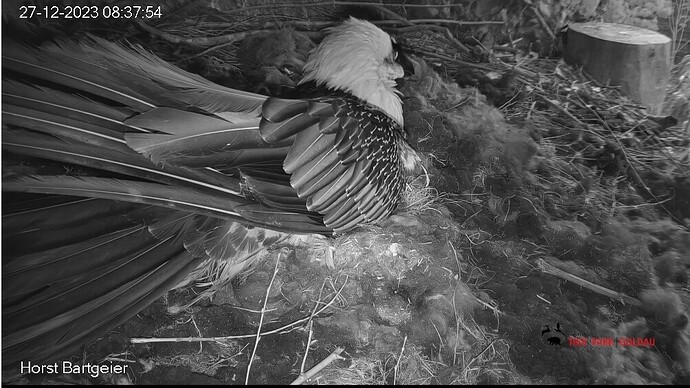 Screenshot_20231227_083826_Samsung Internet