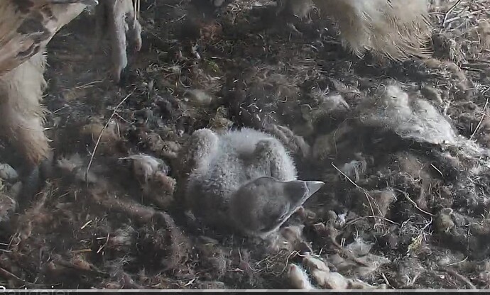 Platzwechsel 19.03.24