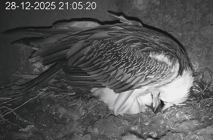 Screenshot_2025-12-28-21-06-22-460_com.android.chrome~2