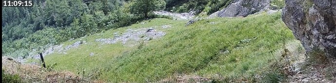 IMG_7073