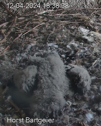 Screenshot_20240412_183958_Samsung Internet