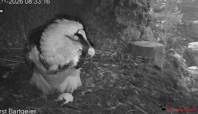 Mascha übernimmt 24.01.26