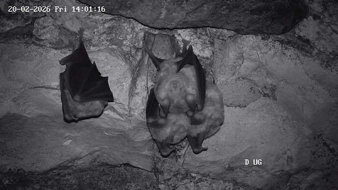 01 20260220140117194-4