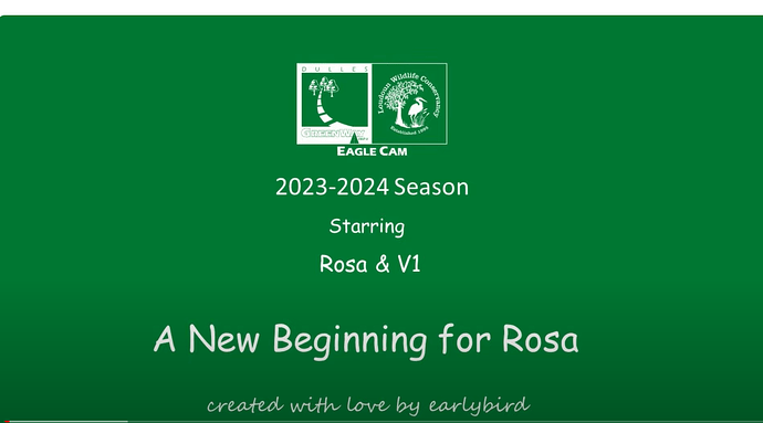 Screenshot 2023-12-14 154632