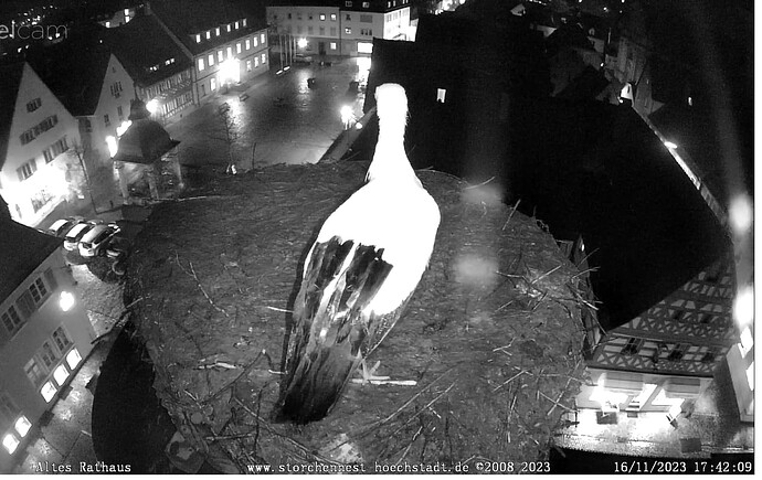 Screenshot_20231116-174233~2