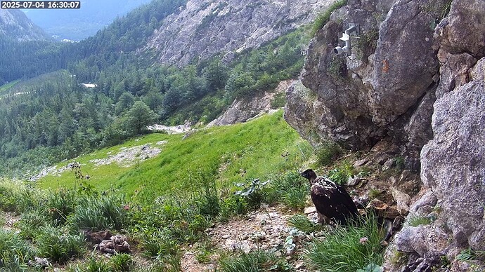 Bildschirmfoto vom 2025-07-04 16-30-34