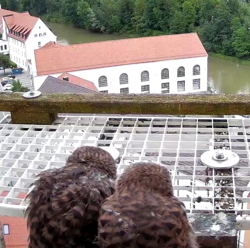 Screenshot_20240707-143004~2