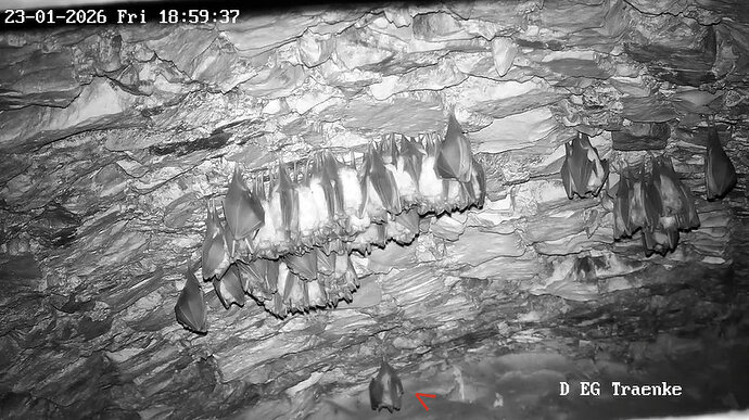 2026-01-23_2 ab 18.00 Kugel