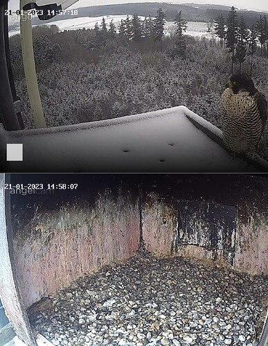 Capture+_2023-01-21-14-57-16(1)