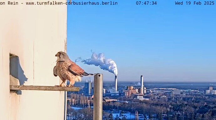 Screenshot_2025-02-19-08-21-15-063_com.google.android.youtube