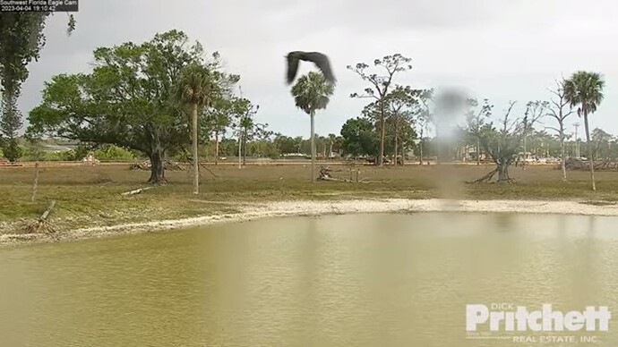 swfl_230404_E_flyby