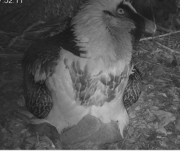 Noch träumen 24.03.24