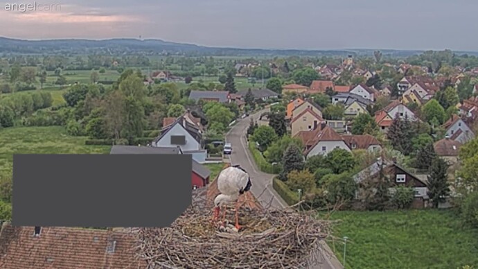 Screenshot (198)