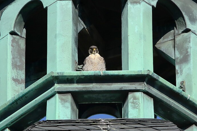 Wanda in der Kuppel 1