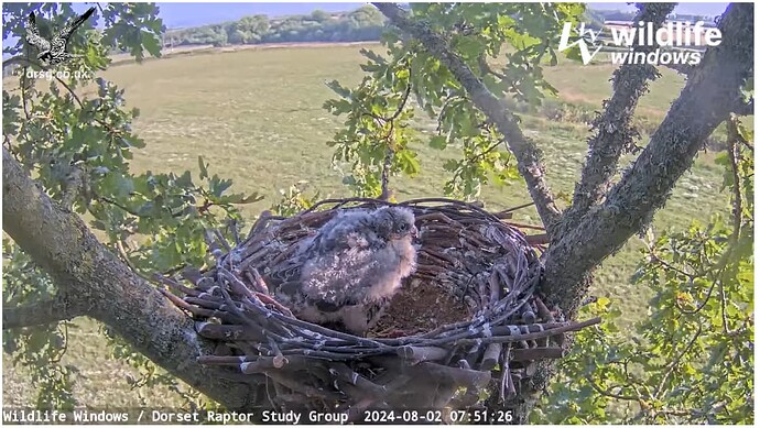 Screenshot 2024-08-02 100602