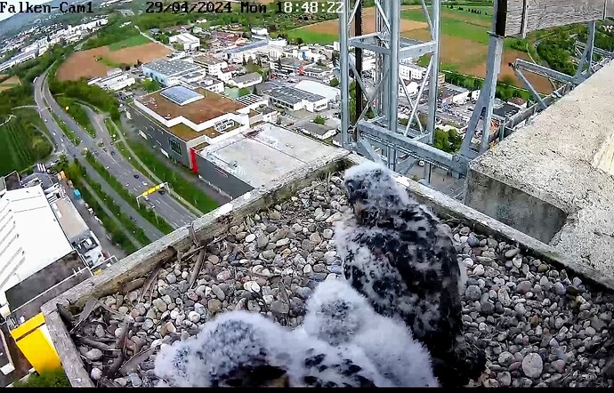 Screenshot_2024-04-29-18-48-51-006_com.android.chrome