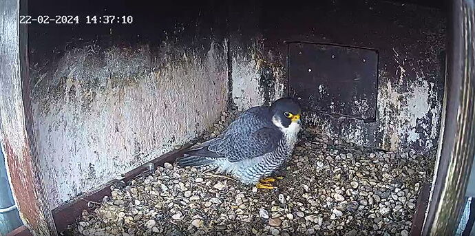 Snap_2024.02.22_14h34m16s_005_