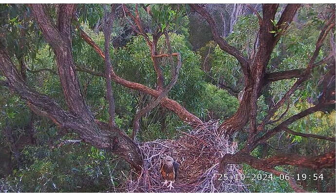 Screenshot 2024-10-24 230402