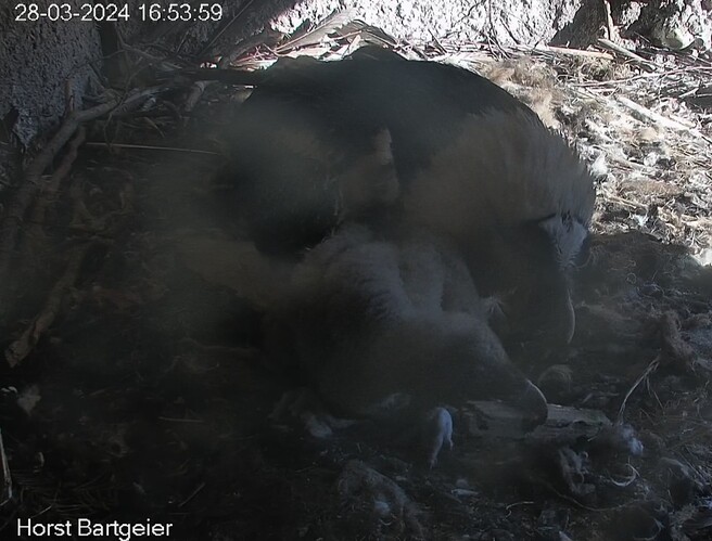 Screenshot_20240328_165410_Chrome