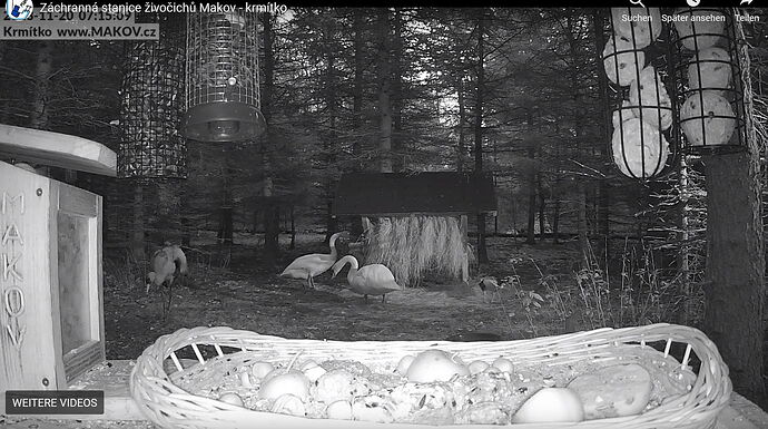 Snap_2023.11.20_07h40m12s_004_