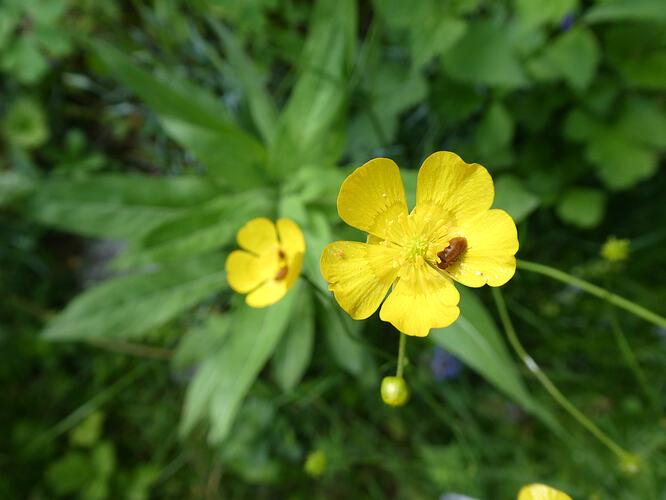 P1051097