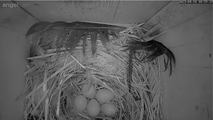 Screenshot_20230414-110004_Samsung Internet