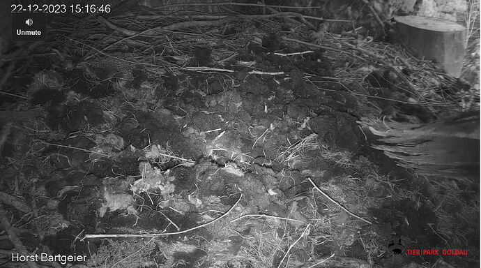 Snap_2023.12.22_15h17m06s_005_