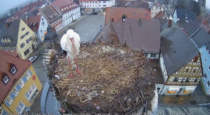 Screenshot_20250123_092613_Chrome