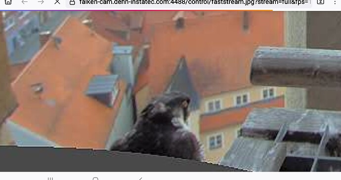 Screenshot_20250426-090948_Firefox