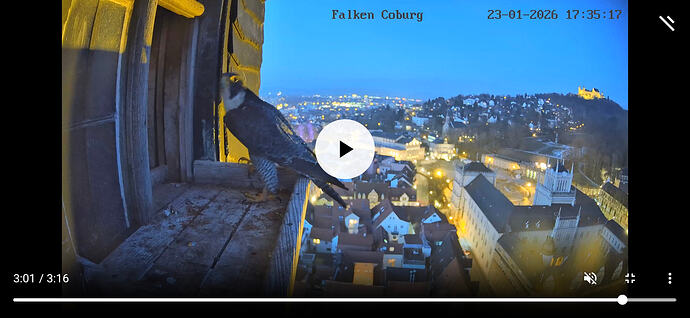 Screenshot_20260123_173533_Chrome