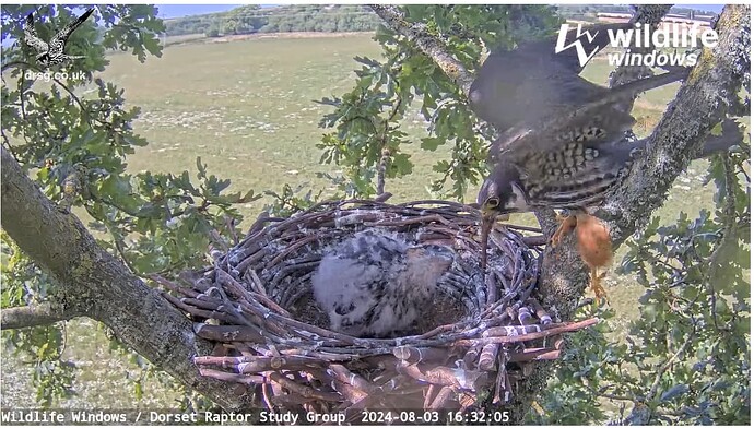 Screenshot 2024-08-03 212821