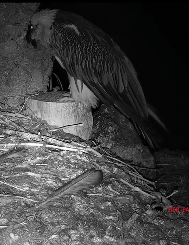 Screenshot_20250727-215917_Chrome