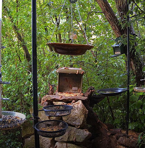 Snap_2024.07.13_07h04m47s_001_