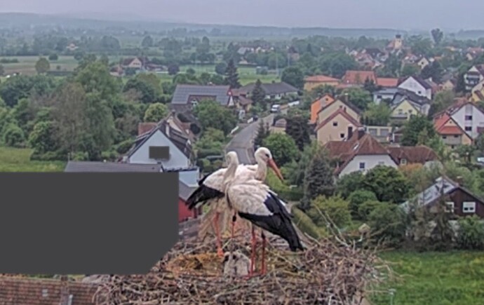 Screenshot_2024-05-08-06-32-16-366_com.android.chrome