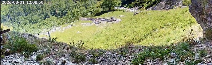 IMG_7076