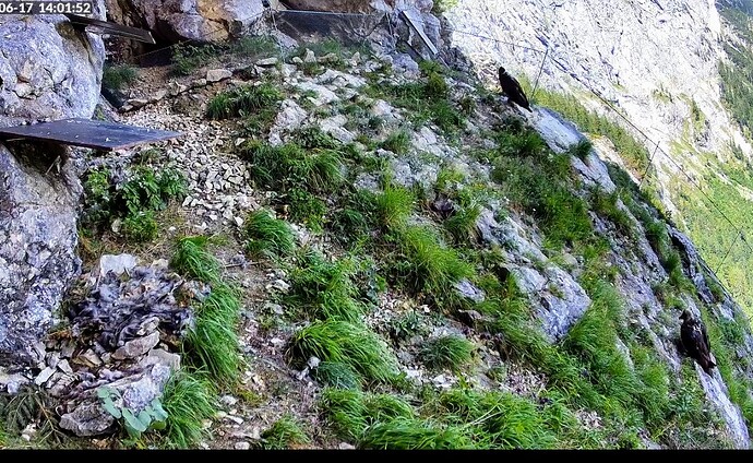 Screenshot_2025-06-17-14-01-54-440_com.android.chrome