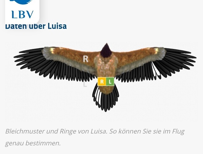 Screenshot_20250527-170115_Chrome