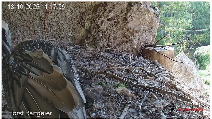 Screenshot_20251018-111910~2