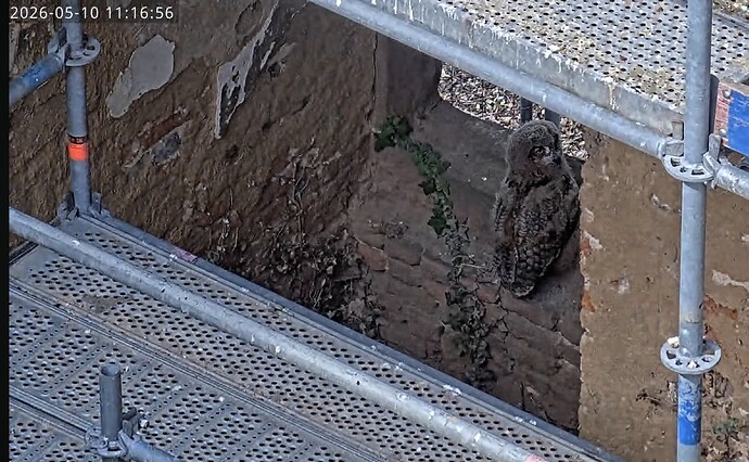 Screenshot_20260510_111840_YouTube