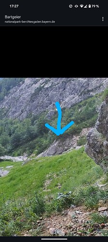 Screenshot_20250627-172704~3