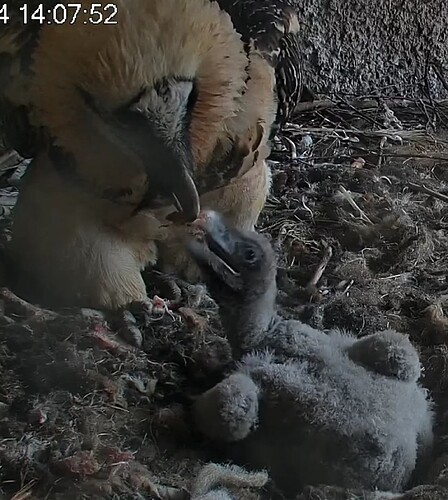 Screenshot_20240325-140805~2