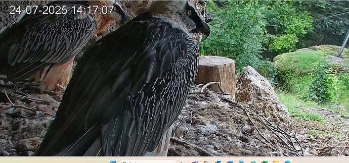 schönes Paar 24.07.25