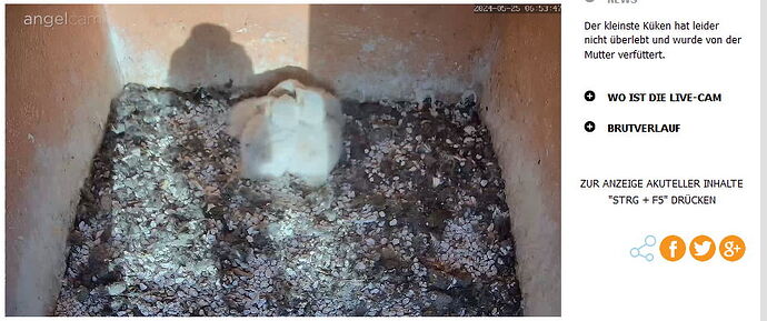 Snap_2024.05.25_06h54m25s_001_