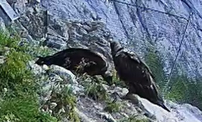 Etwas zu Essen 23.06.25