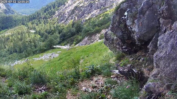 Bildschirmfoto vom 2025-07-12 12-55-49