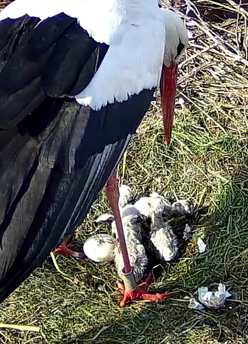 Screenshot_20240429-165913~2