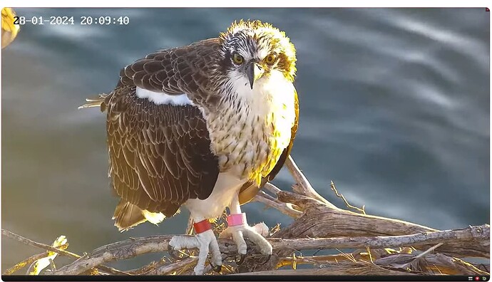 Screenshot 2024-01-28 120052