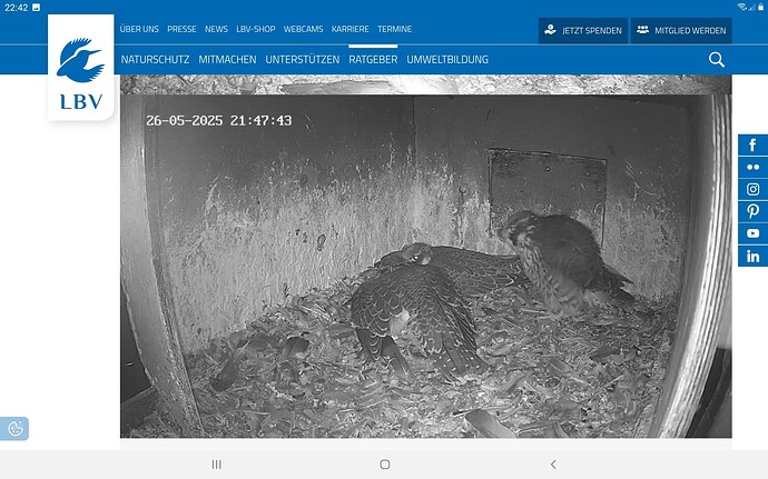 Screenshot_20250526-224217_Chrome