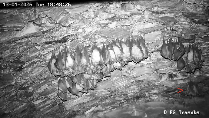 2026-01-13_9 ab 18.00 Dreiergruppe