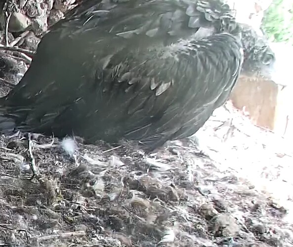 Screenshot_20240508-170124~2